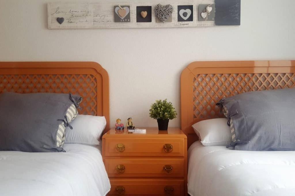Encantador Apartamento En El Centro Daire Alicante Dış mekan fotoğraf