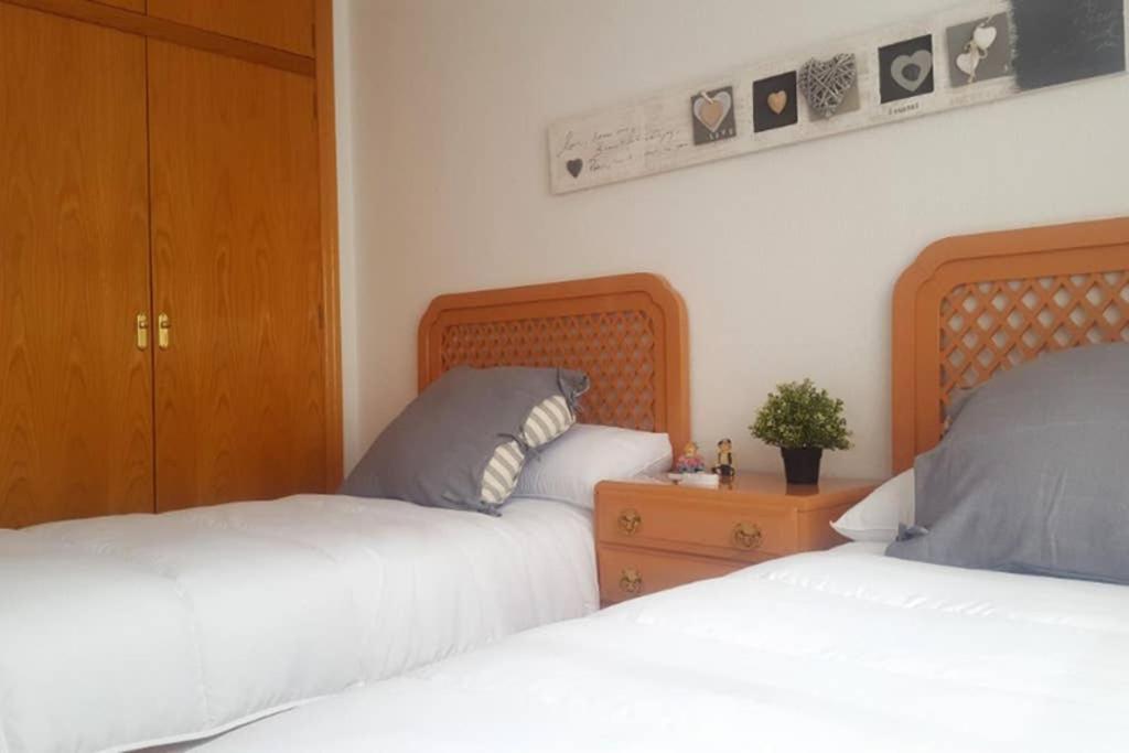 Encantador Apartamento En El Centro Daire Alicante Dış mekan fotoğraf